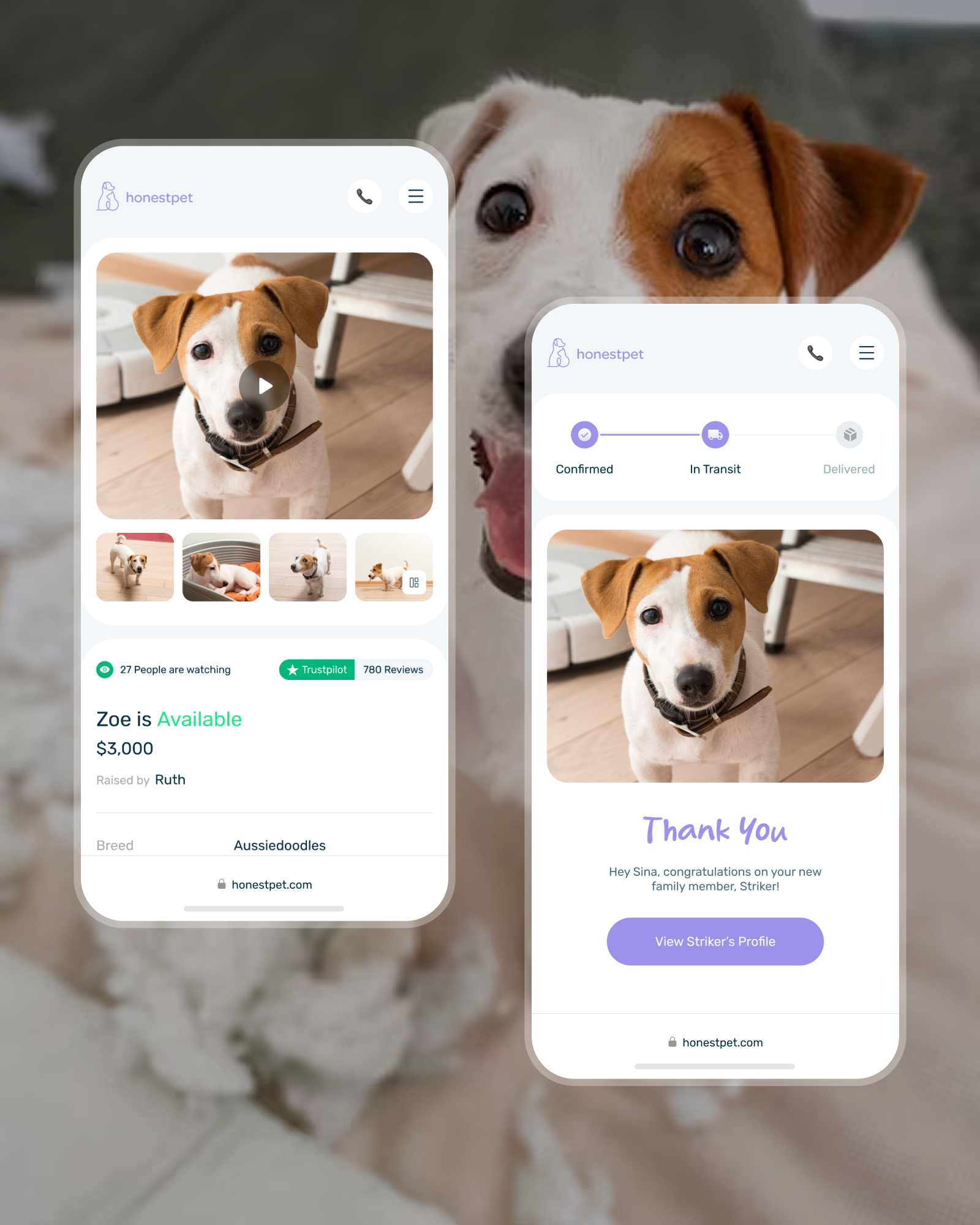 HonestPet - Image 2